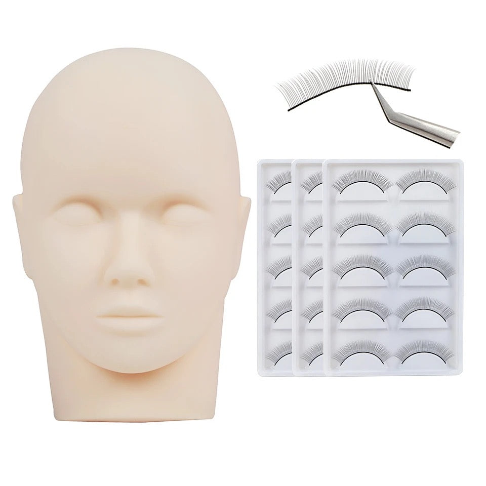 Modell Kopf mit abnehmbaren Ersatz